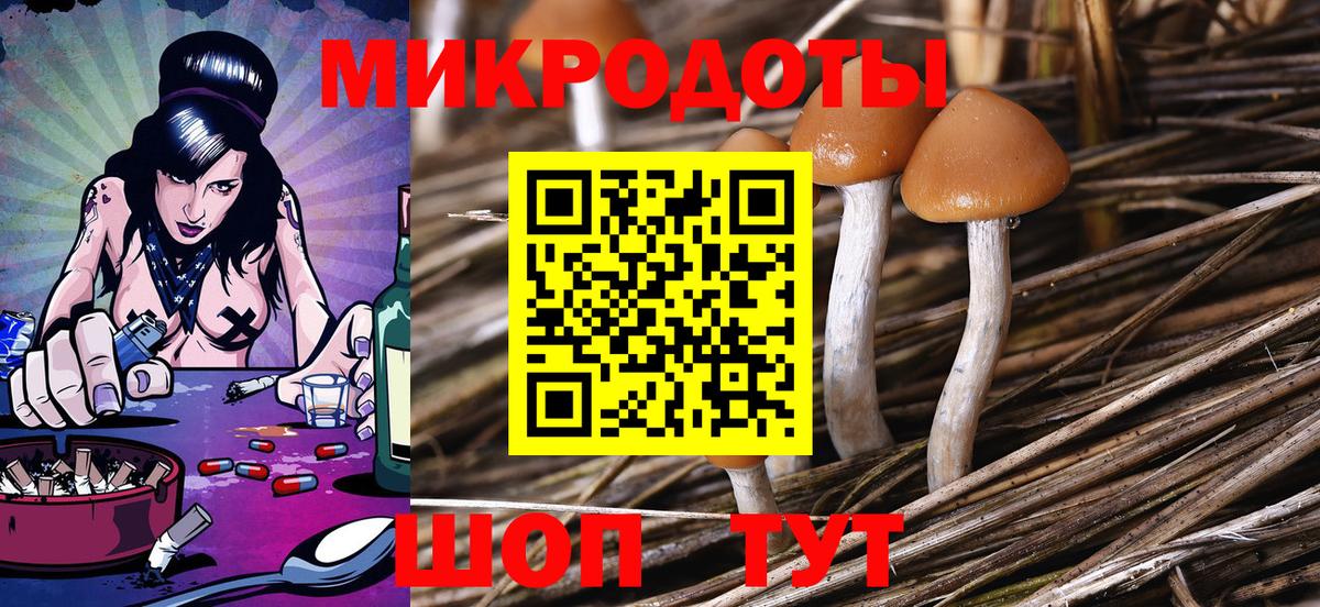 Галлюциногенные грибы мицелий Новоалександровск