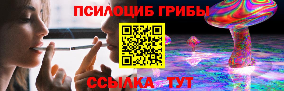 Новоалександровск  купить   Вход с VPN  Псилоцибиновые грибы прущие грибы 